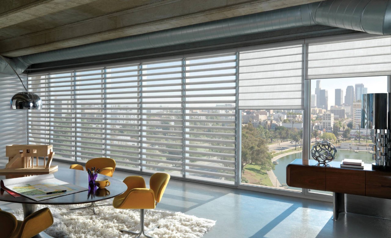 Hunter Douglas Pirouette® Sheer Shades near Burlingame, Los Altos, San Carlos, and Menlo Park, California (CA)