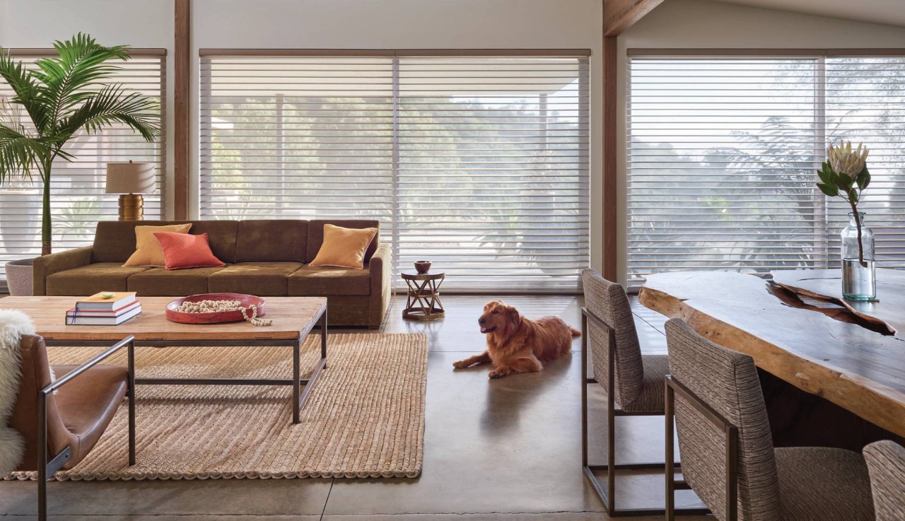 Hunter Douglas Silhouette® Sheer Shades near Burlingame, Los Altos, San Carlos, and Menlo Park, California (CA)